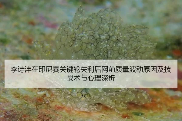 李诗沣在印尼赛关键轮失利后网前质量波动原因及技战术与心理深析