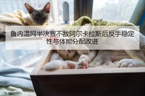 鲁内温网半决赛不敌阿尔卡拉斯后反手稳定性与体能分配改进
